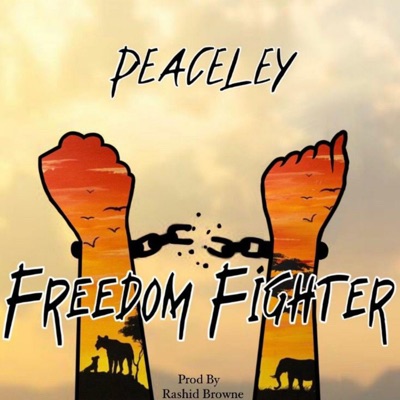 Freedom Fighter - Single