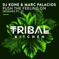 Push The Feeling On — Dj Kone, Marc Palacios