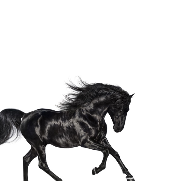 Old Town Road - Single - Lil Nas X