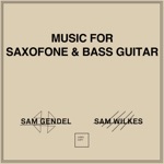 Sam Gendel & Sam Wilkes - Boa