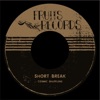 Short Break - Single
