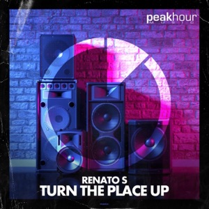 Turn the Place Up - Single