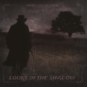 Looks in the Shadow artwork