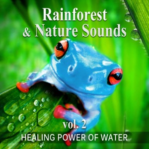 Rainforest & Nature Sounds, Vol. 2: 50 Healing Power of Water