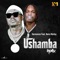 Ushamba (feat. Naira Marley) [Remix] - Harmonize lyrics