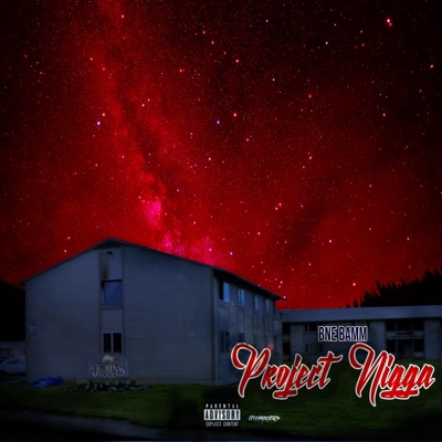 Project Nigga