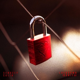 Lockdown (Duniya) Sendeep & Colin