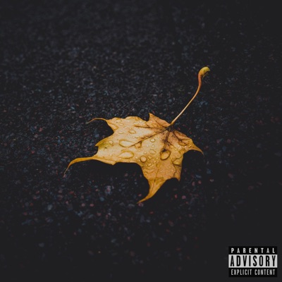 When It Rains It Pours - Single