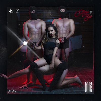 Cuando Llego a la Disco - Single