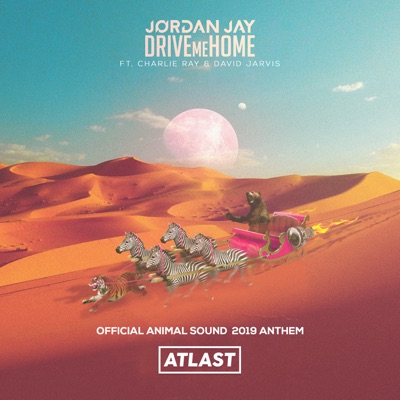 Drive Me Home (Official Animal Sound 2019 Anthem) [feat. David Jarvis] - Single