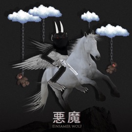 Einsamer Wolf Depth Strida