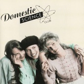 Domestic Science Club - Working Man