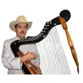 EL FESTIVAL DE LAS AVES