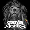 Ganja Rocks