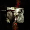 Tiamat - The Return of the Son of Nothing