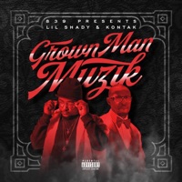 What Would You Do (feat. Infamous Cobb, Nanny, Tae Money & D.B. Da Ice Man) - Single - Shady330