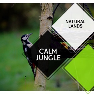 Calm Jungle - Natural Lands