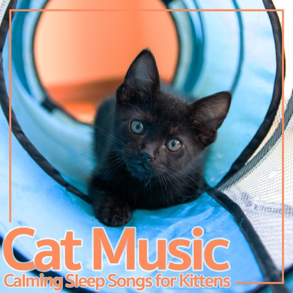 Cat Music: Calming Sleep Songs for Kittens