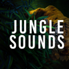 The Jungle - Jungle Sounds