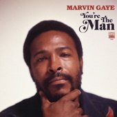 Marvin Gaye - My Last Chance