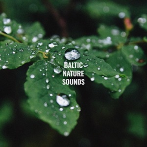 Rain Sounds Vol. 3 - EP