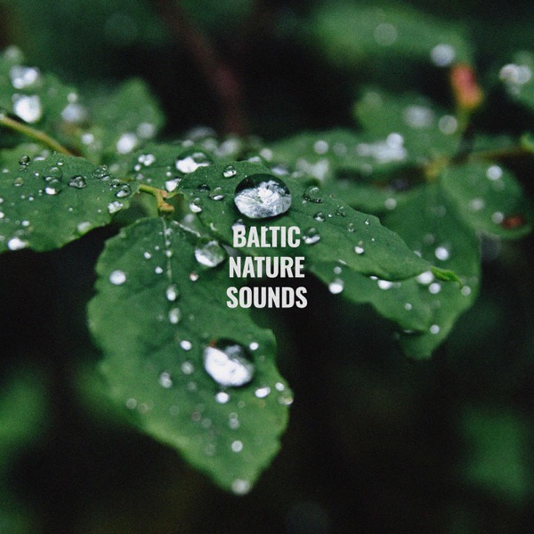 Rain Sounds Vol. 3 - EP