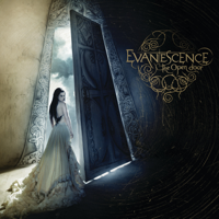 Evanescence - The Open Door artwork