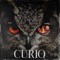 Curio (Cinematic Remix) - Maestro Eternal lyrics