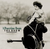 THE BOOM - 君はTVっ子