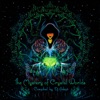 The Mystery of Crystal Worlds