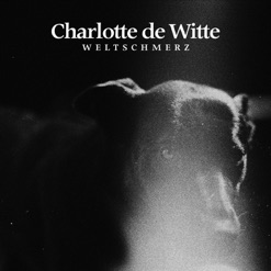 WELTSCHMERZ cover art