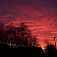 Love Song (feat. Tee & Nea) - Single - Nil