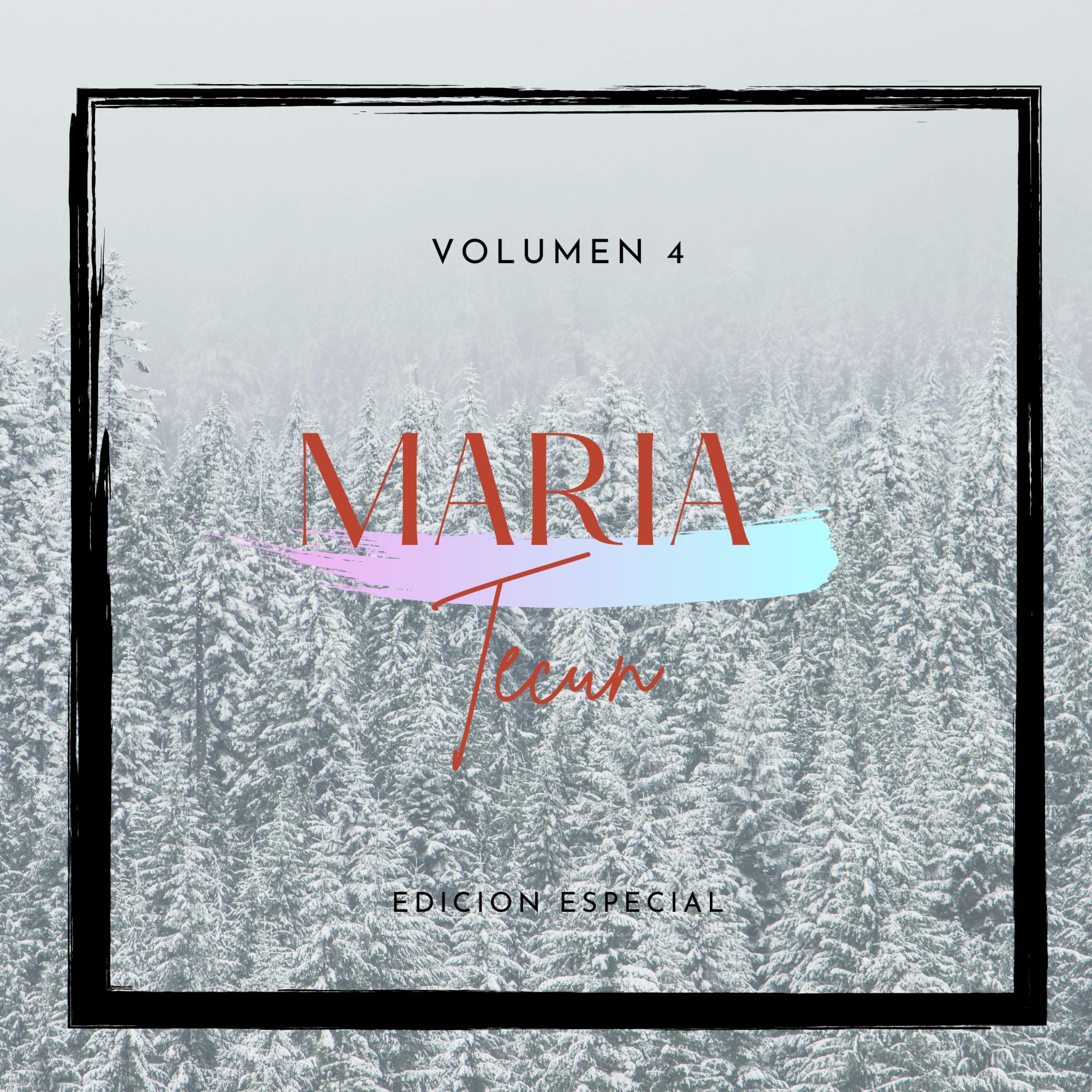 Volumen 4