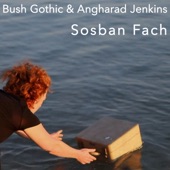 Sosban Fach artwork