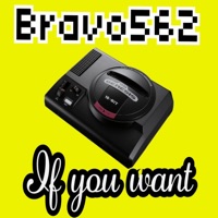 If You Want - Single - Bravo562
