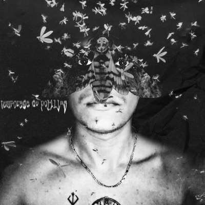 Temporada de Polillas - Single