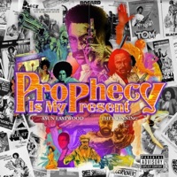 Prophecy Is My Present - Asun Eastwood & THETWINNING