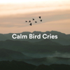Calming Bird Sounds - The Slumbering One