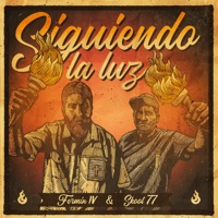 Siguiendo la Luz - Single - Skool 77 & Fermin IV
