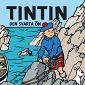 Den svarta ön, del 15 artwork