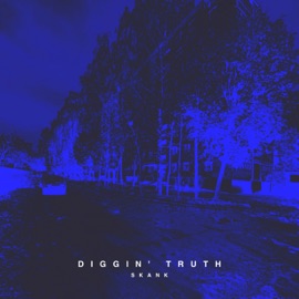 Diggin' Truth SKANK