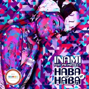 Haba Na Haba EP Remixes (feat. PM Project)