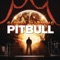 Back in Time - Pitbull lyrics