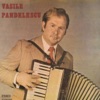 Vasile Pandelescu - Sarba de la Priboieni