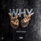 Why - Swavo Adtmg lyrics
