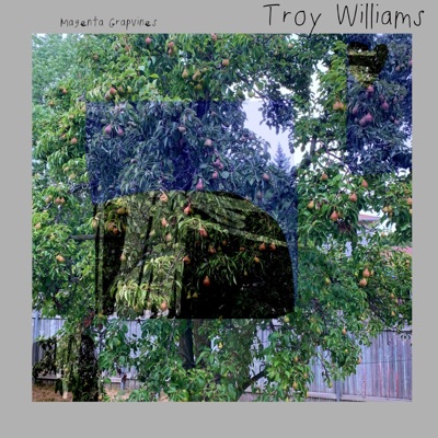 Magenta Grapvines