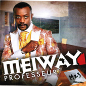 Professeur (M 23) - Meiway