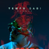 Tempo Sabi artwork