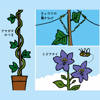 植物の「右」と「左」のふしぎ - 自然史学会連合(監修)