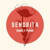 Senorita - Single